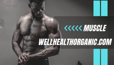 wellhealthorganic.com/how-to-build-muscle-know-tips-to-increase-muscles